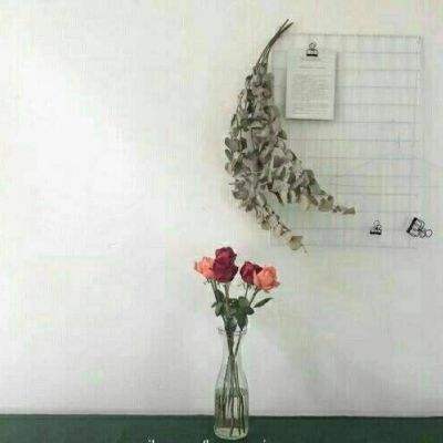 放置少女百花缭乱手游下载